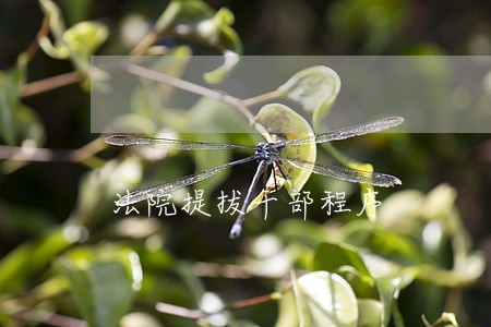 法院提拔干部程序 法院提拔干部程序