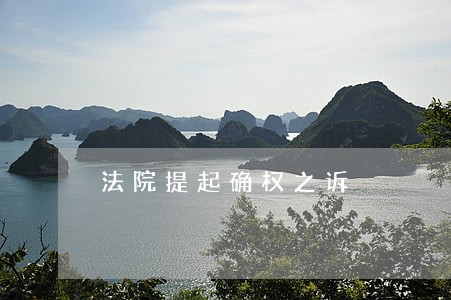 法院提起确权之诉 法院提起确权之诉