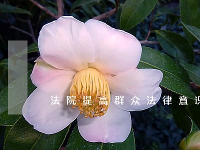 法院提高群众法律意识 法院提高群众法律意识