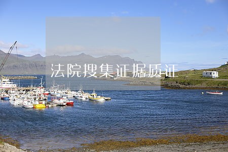 法院搜集证据质证 法院搜集证据质证