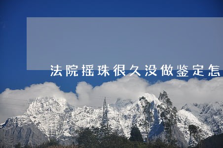 法院摇珠很久没做鉴定怎么办 法院摇珠很久没做鉴定怎么办