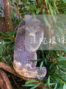 法院摇珠房