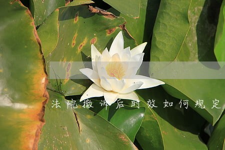 法院撤诉后时效如何规定 法院撤诉后时效如何规定