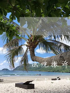 法院撤诉多久才取消禁止令/2023031588741 法院撤诉多久才取消禁止令/2023031588741