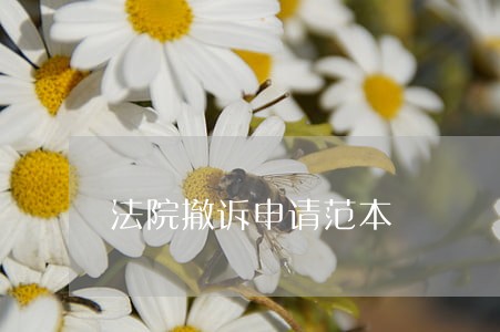 法院撤诉申请范本 法院撤诉申请范本