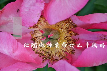 法院撤诉要带什么手续吗 法院撤诉要带什么手续吗