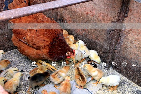法院撤销136万补偿后 法院撤销136万补偿后