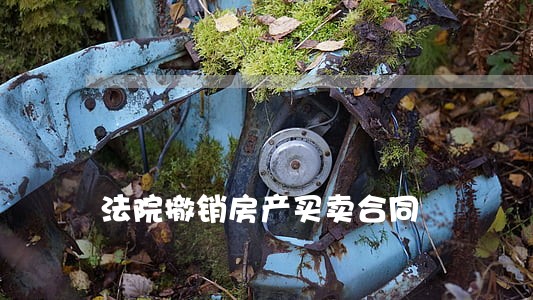 法院撤销房产买卖合同 法院撤销房产买卖合同