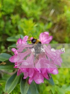法院撤销房产证程序 法院撤销房产证程序