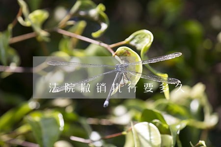 法院撤销执行要多久