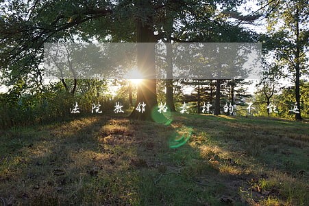 法院撤销拍卖标的不能返还