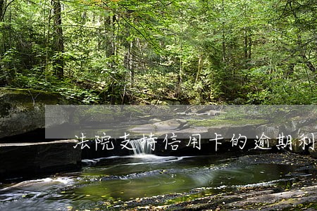 法院支持信用卡的逾期利息吗 法院支持信用卡的逾期利息吗
