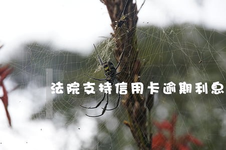 法院支持信用卡逾期利息最高 法院支持信用卡逾期利息最高