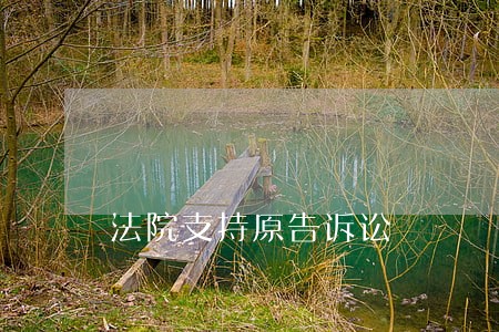 法院支持原告诉讼