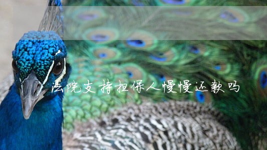 法院支持担保人慢慢还款吗 法院支持担保人慢慢还款吗