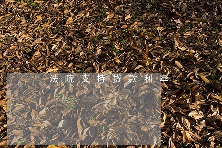 法院支持贷款利率 法院支持贷款利率