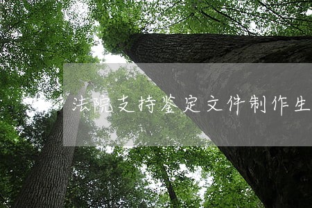 法院支持鉴定文件制作生成时间吗 法院支持鉴定文件制作生成时间吗