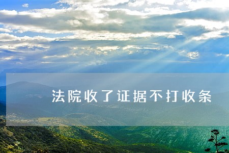 法院收了证据不打收条 法院收了证据不打收条