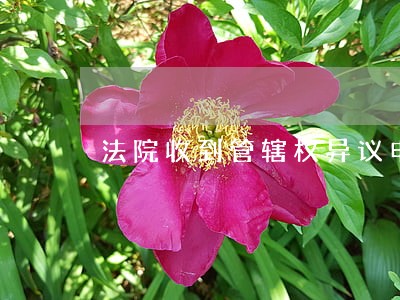 法院收到管辖权异议申请如何处理 法院收到管辖权异议申请如何处理