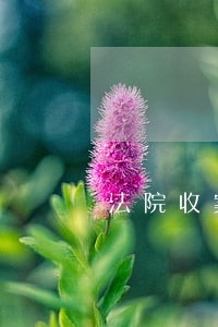 法院收案查询