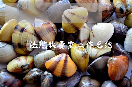 法院收费室工作总结 法院收费室工作总结