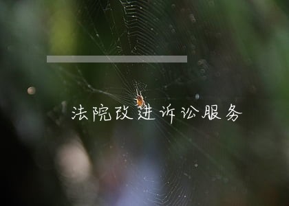 法院改进诉讼服务 法院改进诉讼服务