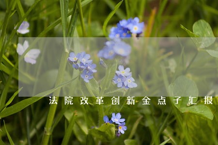 法院改革创新金点子汇报 法院改革创新金点子汇报