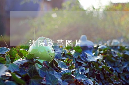 法院改革图片