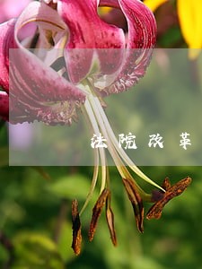 法院改革工作调研提纲