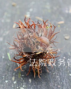 法院政务管理工作报告 法院政务管理工作报告