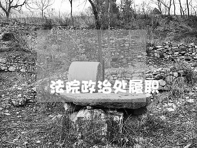 法院政治处履职 法院政治处履职