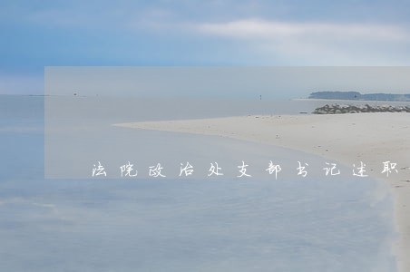 法院政治处支部书记述职报告 法院政治处支部书记述职报告