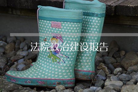 法院政治建设报告 法院政治建设报告