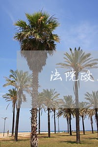 法院政治部主任个人总结 法院政治部主任个人总结
