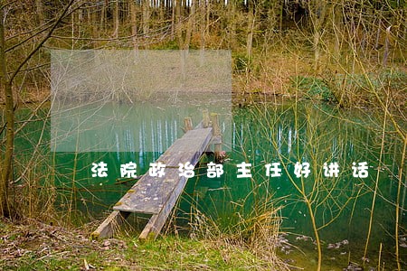 法院政治部主任好讲话 法院政治部主任好讲话