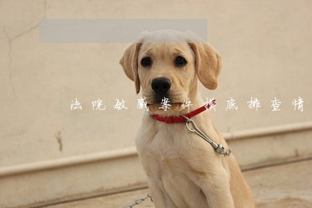 法院敏感案件摸底排查情况汇报 法院敏感案件摸底排查情况汇报