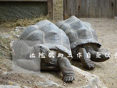 法院救助工作自查报告 法院救助工作自查报告