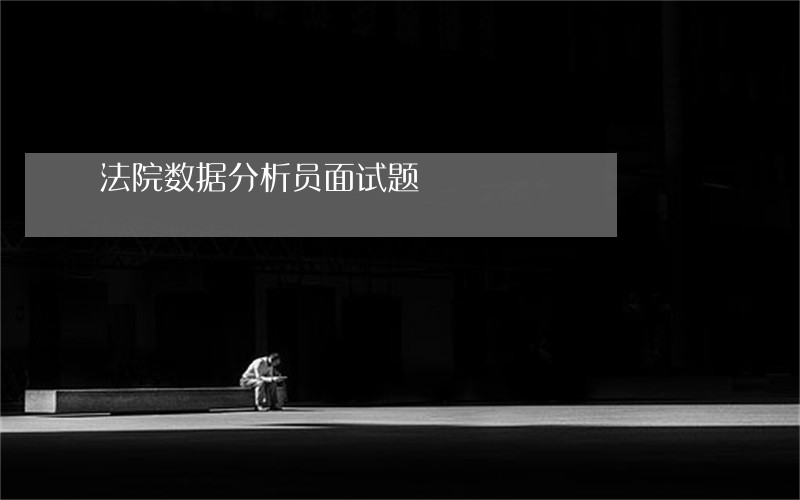 法院数据分析员面试题