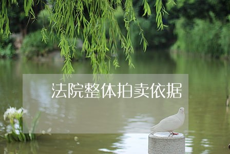 法院整体拍卖依据