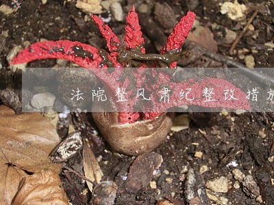 法院整风肃纪整改措施 法院整风肃纪整改措施
