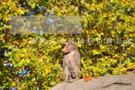 法院文书员以后待遇怎么样 法院文书员以后待遇怎么样