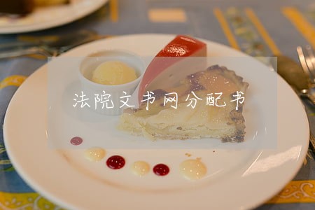 法院文书网分配书 法院文书网分配书
