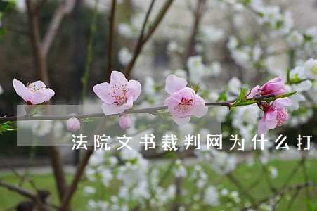 法院文书裁判网为什么打不开 法院文书裁判网为什么打不开