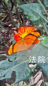 法院文件的页边距是多少 法院文件的页边距是多少