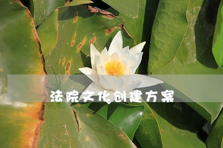 法院文化创建方案 法院文化创建方案