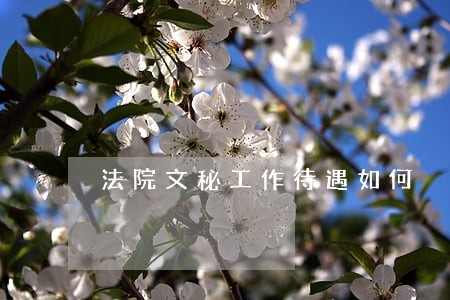 法院文秘工作待遇如何 法院文秘工作待遇如何