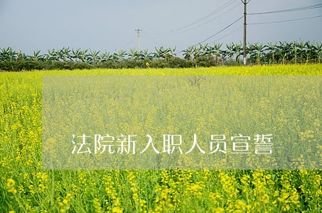 法院新入职人员宣誓 法院新入职人员宣誓