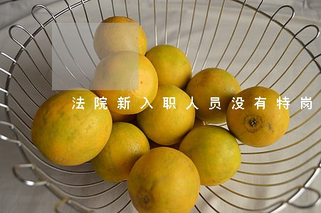法院新入职人员没有特岗津贴