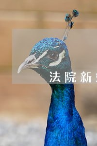法院新媒体 法院新媒体