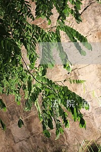 法院新媒体外卖服务 法院新媒体外卖服务
